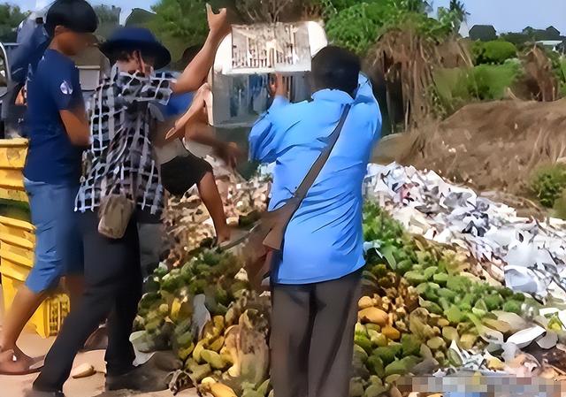 泰国大量水果腐烂，因为摊上的一句中文，中国游客：自己留着吧