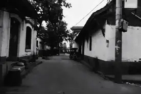 王汉光：回忆涡阳县的两个国民党县长图片