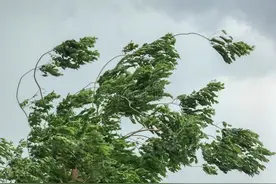 全国近500国家观测站极大风破纪录 此次大风为何这么强？图片