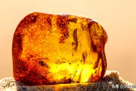 这些生活中常见的宝石，竟然都是化石！图片