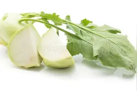 六下语文第一单元基础知识复习检测图片