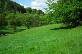 2025年应届生是省考最容易上岸的机会，4大优势，不抓住就可惜了图片