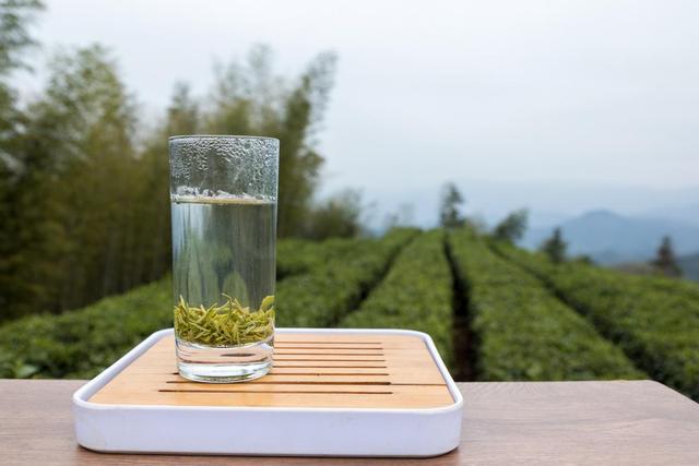 年过65岁要少喝茶水？医生坦言：不想住进病房，这6种茶不要多喝