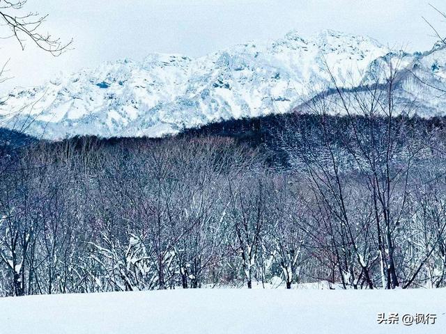 说起冬季日本看雪，难道只有北海道吗？