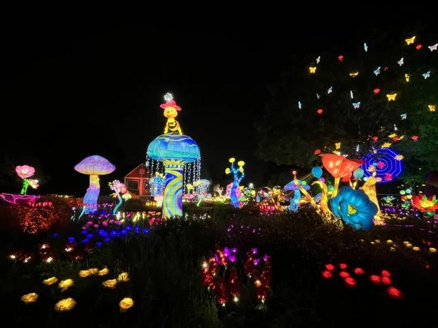 假期结束倒计时！来世界花卉大观园，相约“花火之梦”、苗侗风情巡游！