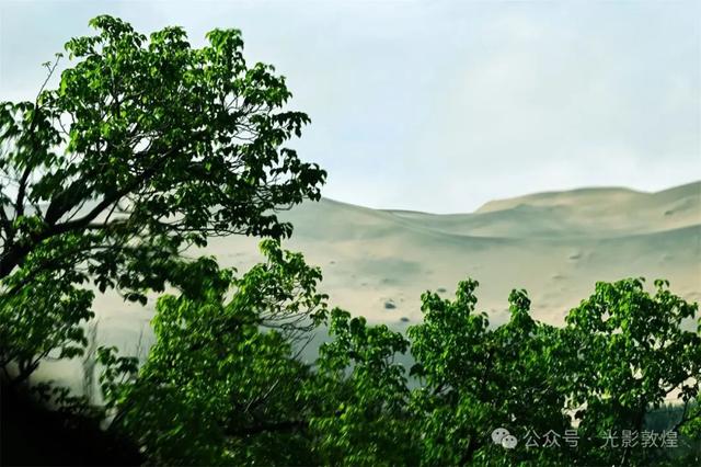 【雨后,敦煌神奇的一幕出现了】云遮雾罩鸣沙山