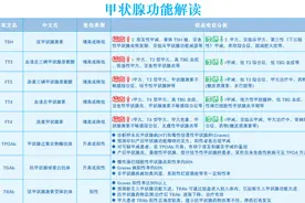 一张图教你看懂甲状腺功能图片