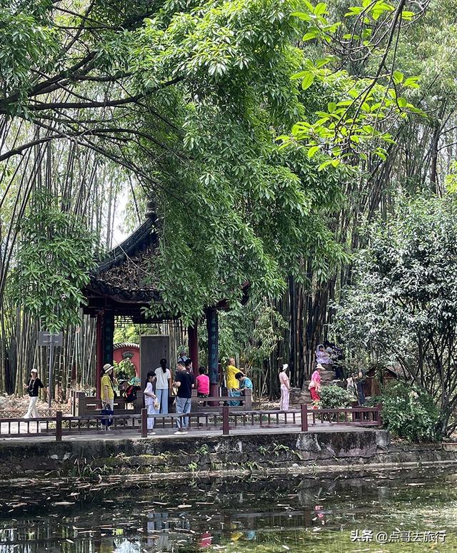 成都市内乘凉公园，风景秀美、清凉，不要门票，地铁公交可达！