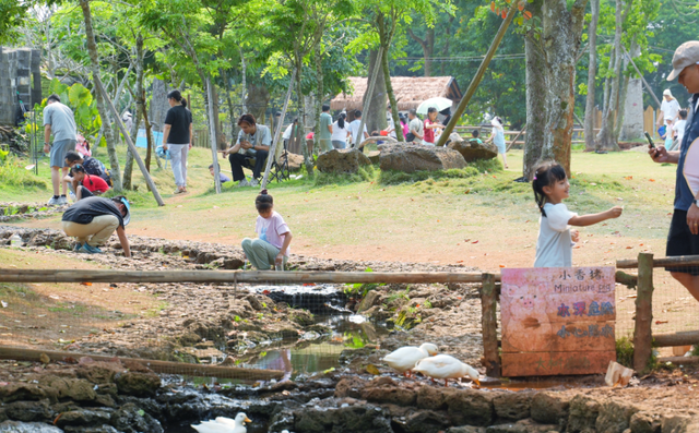 清明假期首日，海口亲子游火热登场！