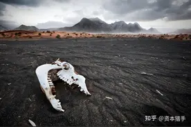 现实的真相：社会丛林里的生存法则图片