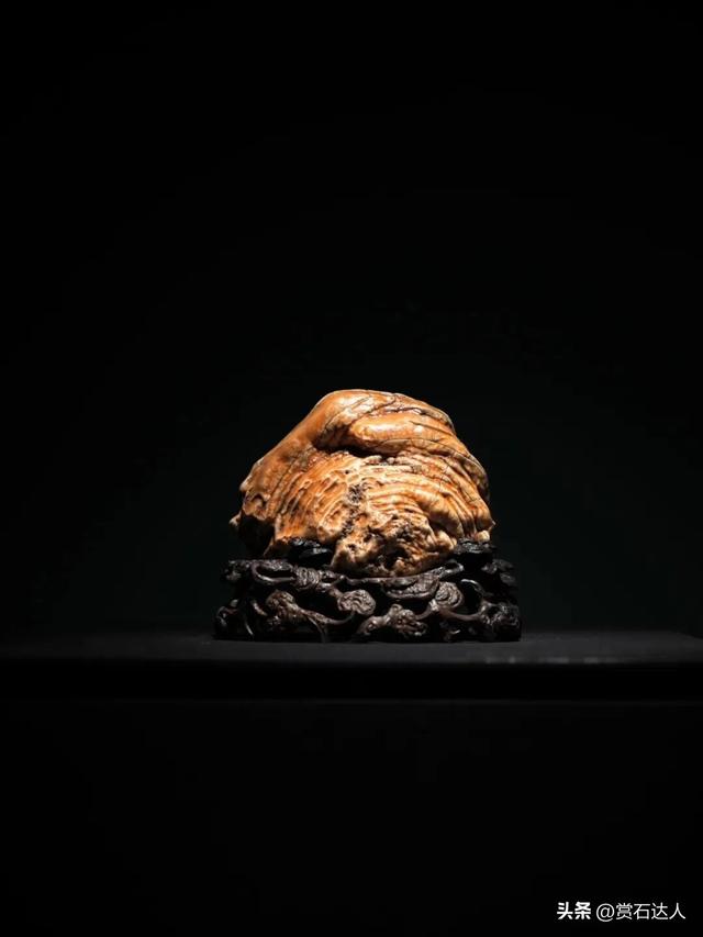 2026春季阿拉善玉·观赏石文化旅游活动盛大启幕，精品奇石欣赏