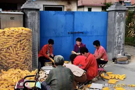 我工资8000，老家亲戚问的时候，父亲撒了谎，我成了全村人的笑话图片