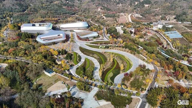 【绿色打卡地】处处皆美景,初冬的世博园被焦糖色填满