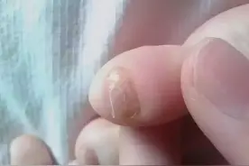 九成河南人的祖先来自大槐树？三百年的误会！ | 豫记图片