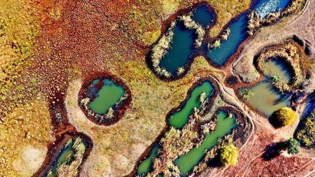 内蒙古杭锦旗：湿地秋景惹人醉