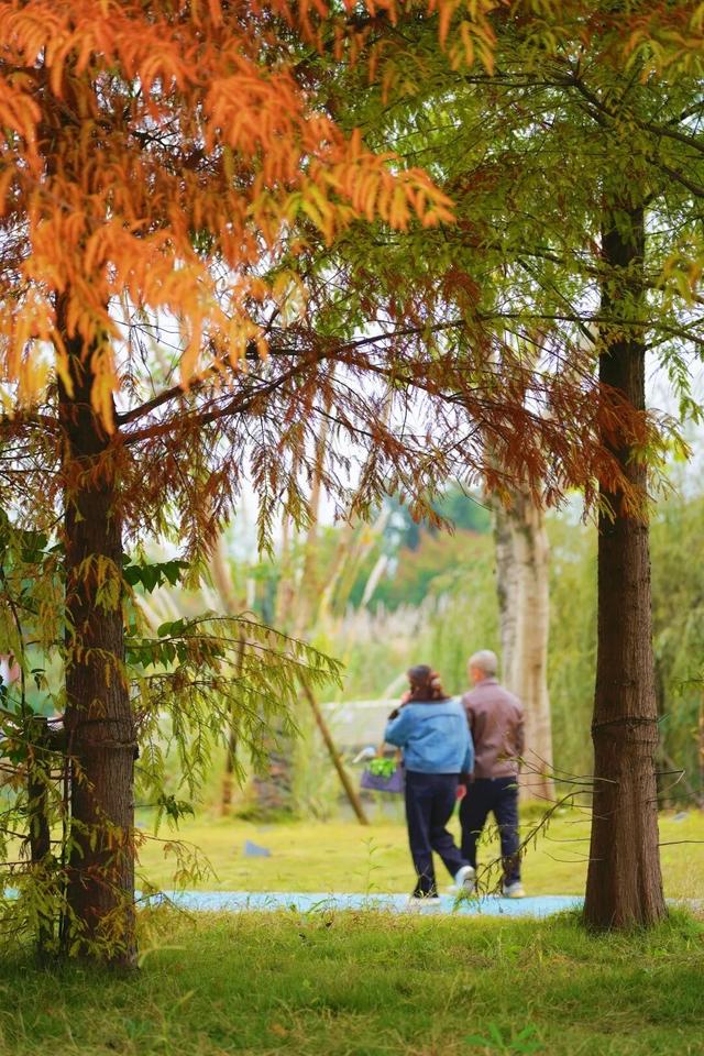 冬崃｜在泉水湖湿地公园，收藏整个冬天的浪漫与生机~