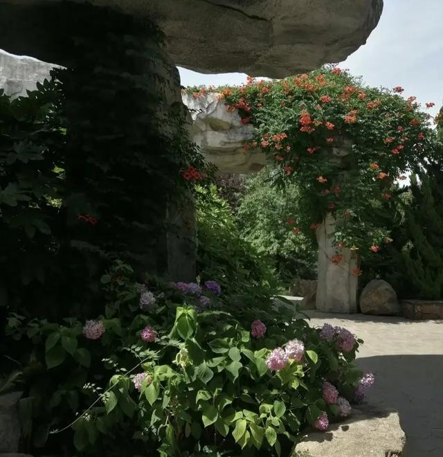 全球独一无二！西安凭什么被称为城中花都