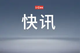 浙江嘉兴嘉善县多家快递网点暂停服务？各方回应图片