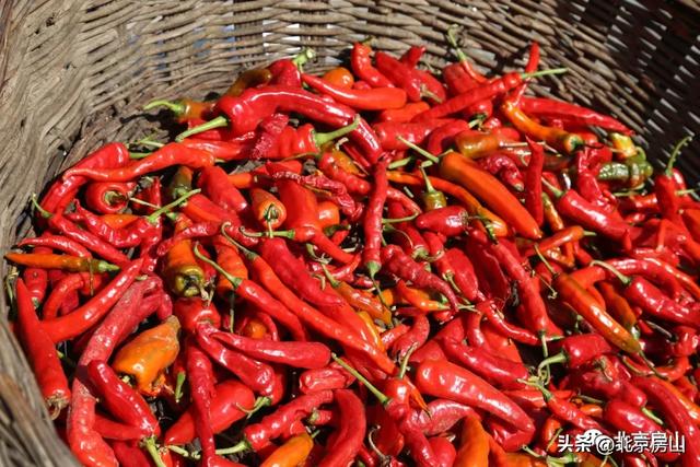 赤染宝水·把秋天绘成一幅画!