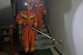湖北阳新：菜花蛇夜闯民宅 消防员抓蛇除患图片