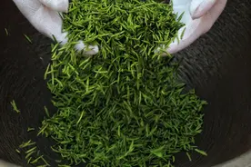 尿不出、查出钙化，9味药，慢性前列腺炎、钙化的克星图片