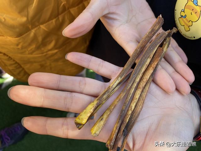 回不去的游乐园，拔不断的童年记忆