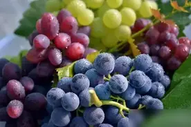 想让葡萄长的又大又甜，厨房里有个东西用的上，简单易上手图片