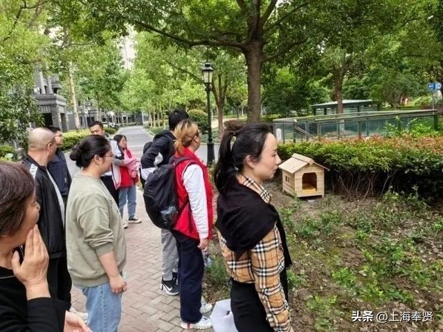 从“流浪无依”到“宠爱有道”，金海街道这个社区有“喵”招→