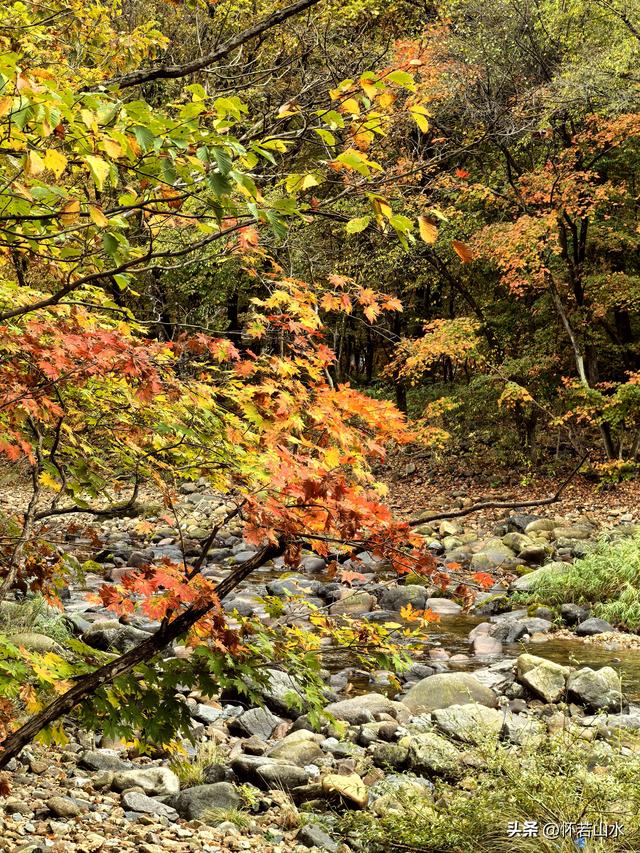 2025辽宁赏秋之旅日记(2)——游览丹东蒲石河森林公园