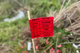 南充人口里的世界上最大的油田，究竟在南充哪里、图片