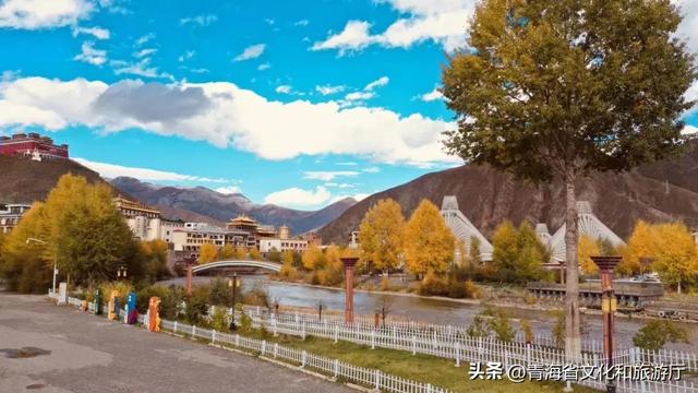 黄叶、秋风与斜阳,玉树的秋藏着你要的绚烂与深沉