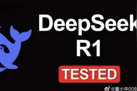 董小华：与大数据就莫言小说问题的交流结果图片