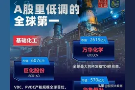低调实力龙头，A股全球排名第一的低调实力龙头股盘点！图片