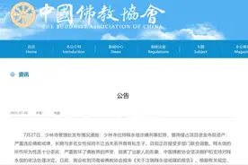释永信被注销的戒牒“含金量”有多高？曾救岳飞的命，苏轼的官职图片