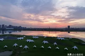 苏州第二批开放共享绿地清单“上新”图片