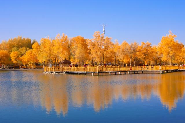 酒泉金塔胡杨林，时光凝固成美丽的神话，奔赴一场秋季的浪漫之旅