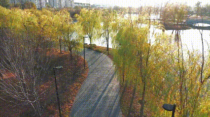 这么近那么美~猜猜这是哪？