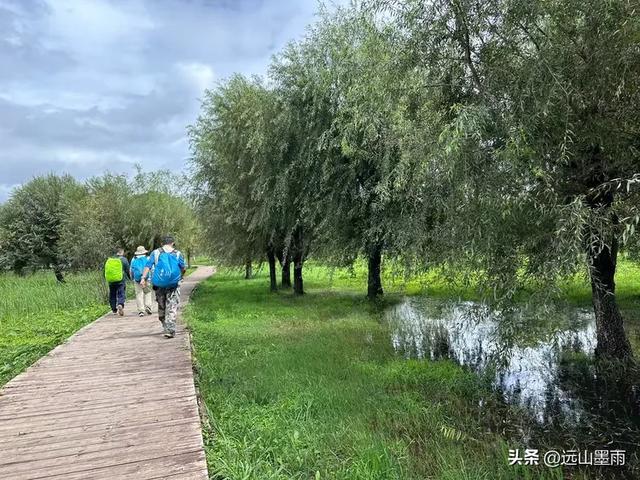 假日徒步，走昆明滇池草海之开合浮桥、雨中打卡新晋网红地，休闲