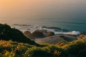 什么时候起，我们怕接到父母电话:母亲手指肌腱断裂，婆婆这样做图片