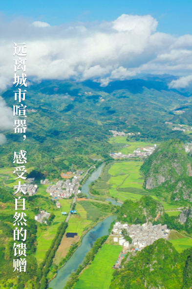 广西巴马县历史沿革及行政区划