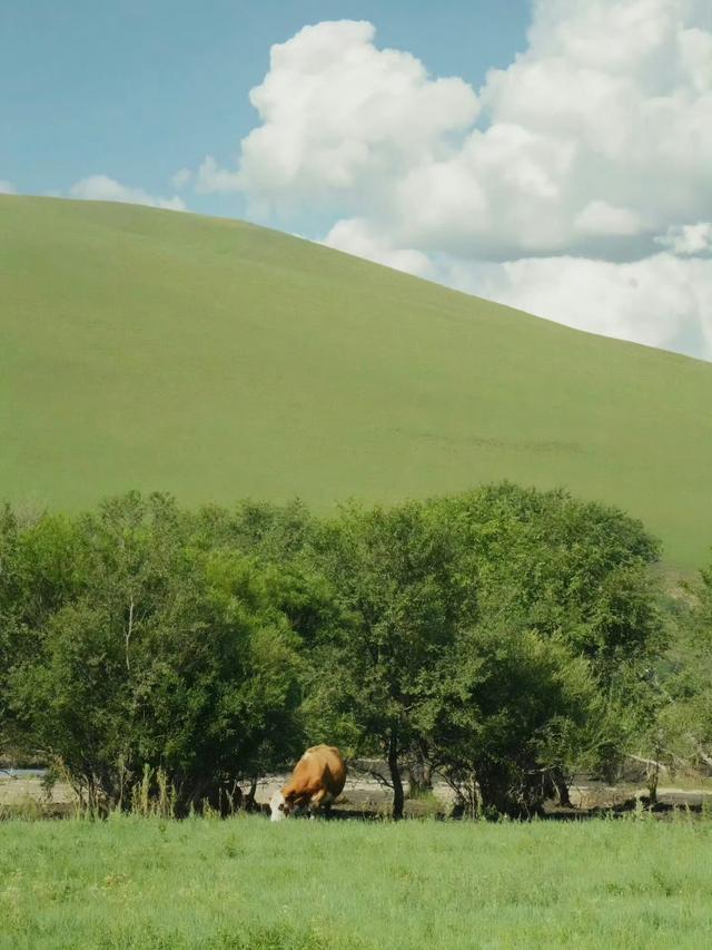 我爱这络绎不绝的无意义的瞬间 ​