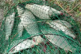 钓鱼技巧：调漂之精髓在于找底，学会方法调漂随意图片