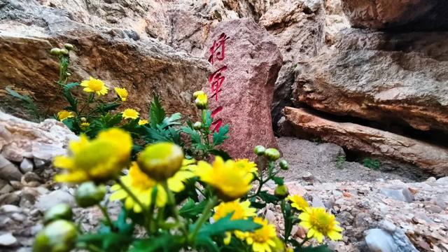诸君，重阳来此登高赏景可好
