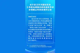 武汉天河机场乘机有新变化图片
