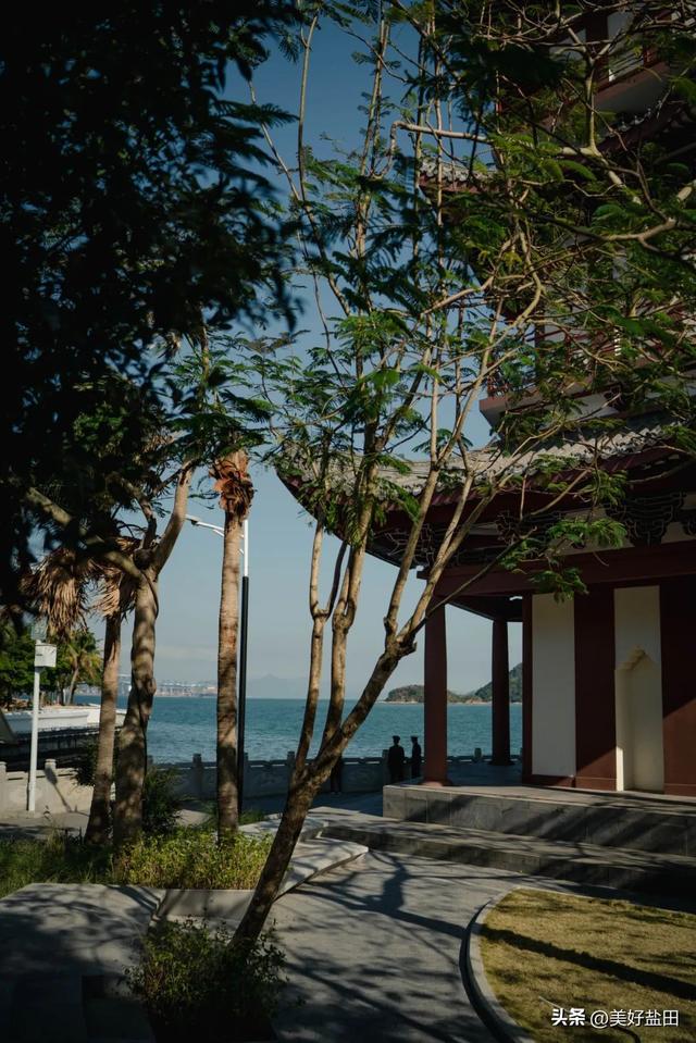 Discover Chung Ying Street’s Hidden Cape Gem!