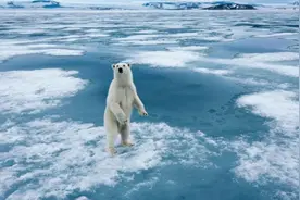 南极遭遇无冰之夏！科学家警告：气候临界点已至，人类做好准备！图片