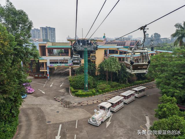 参观广州长隆野生动物园，全程感觉眼累手累腿不累