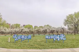 城乡环境整治提升进行时丨邯郸市邯山区城乡环境整治做好“绣花功”图片