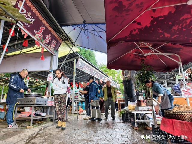 四川行(73)什邡红枫岭徒步到钟鼎寺