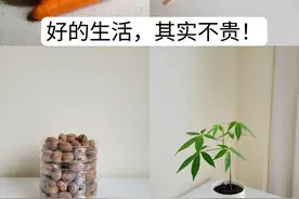 因为穷，我养成了5个“奇葩”的省钱行为，不太体面，但真省钱图片